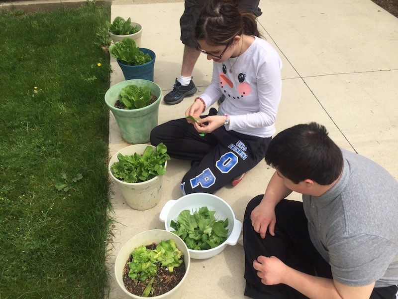 Lettuce Eat! A Life Shop made lunch!