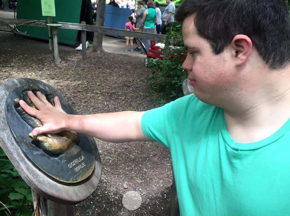 11390360_10152995804637252_3813307982871887327_n