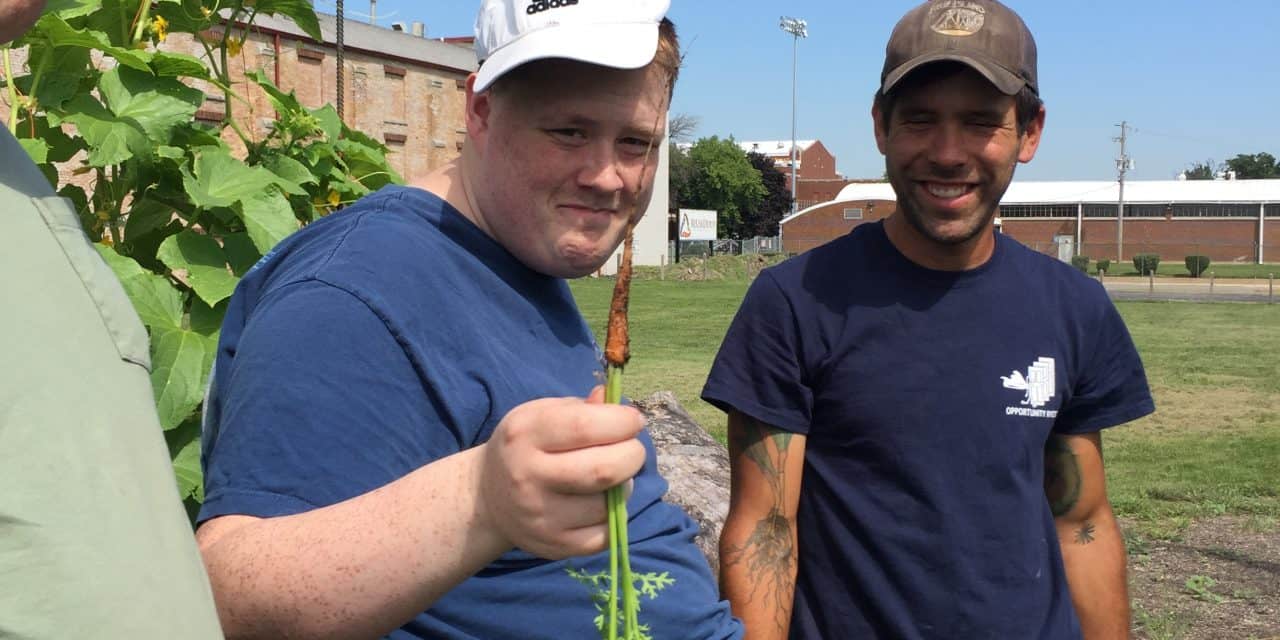 Mary, Mary quite contrary look at the OK Farm grow!!