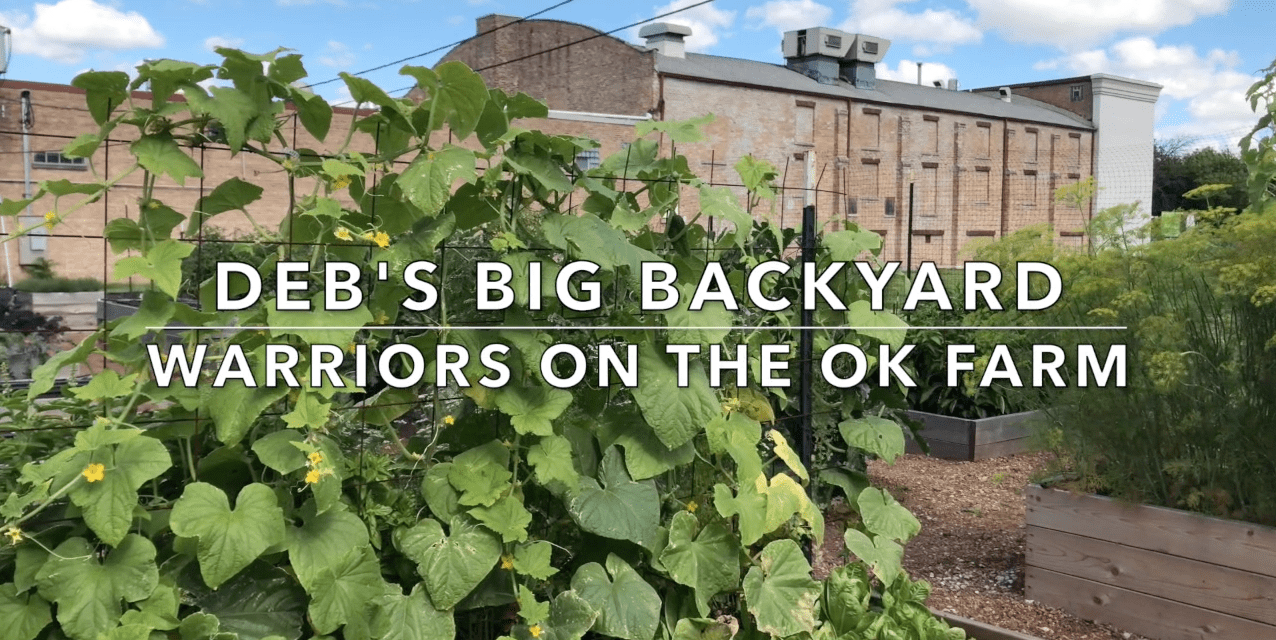 Deb’s Big Back Yard Features the OK Farm in Urban Gardening Spotlight Video!