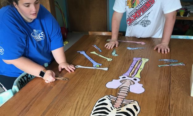 Make no bones about it…the Life Shop learns about the skeletal system!