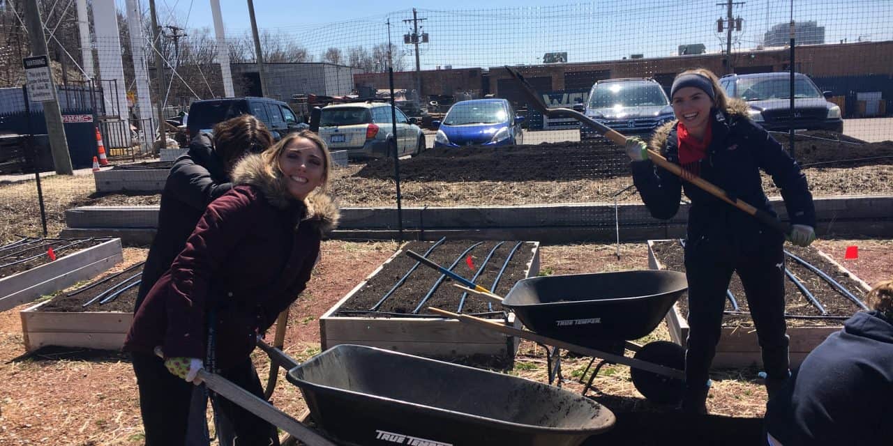 Thanks to the Saturday Farm Volunteers!